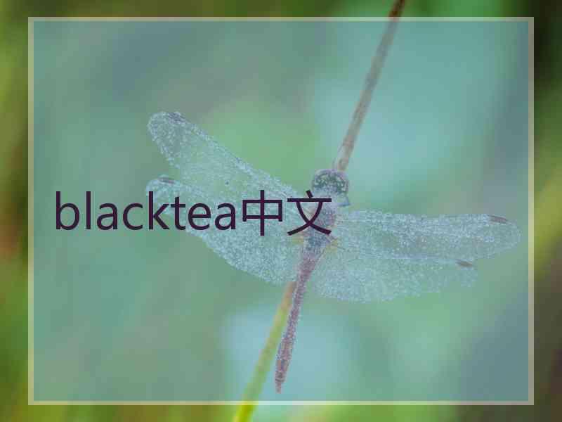 blacktea中文