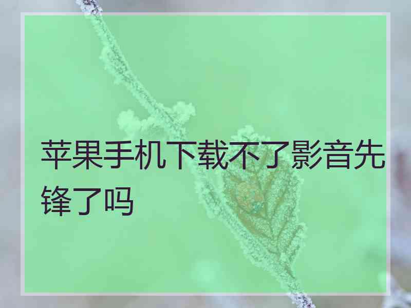 苹果手机下载不了影音先锋了吗