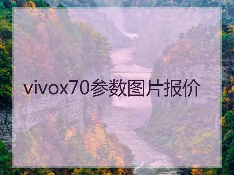 vivox70参数图片报价