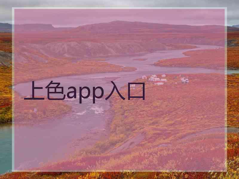 上色app入口