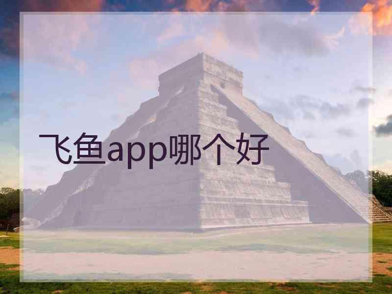 飞鱼app哪个好