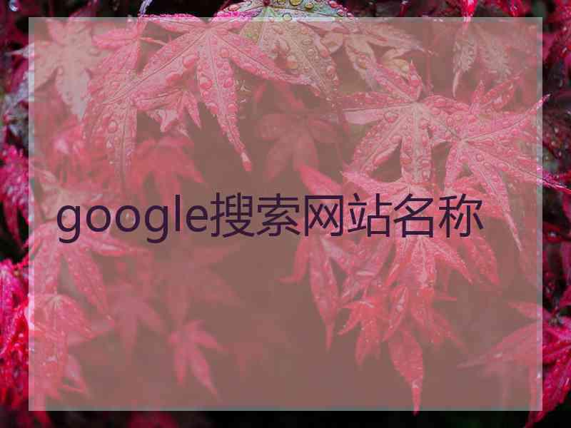 google搜索网站名称