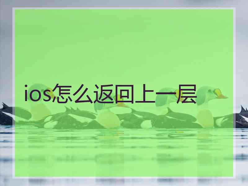 ios怎么返回上一层