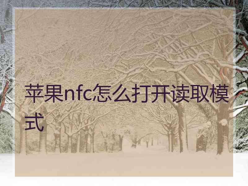 苹果nfc怎么打开读取模式