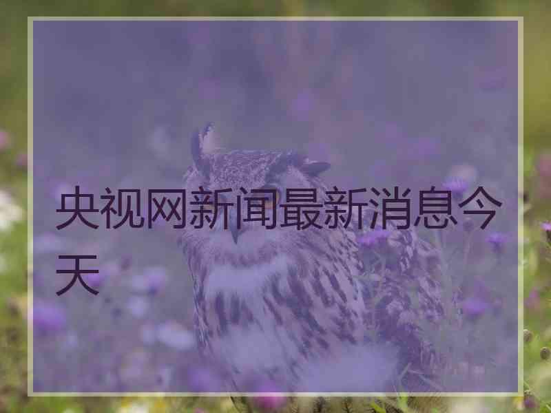 央视网新闻最新消息今天