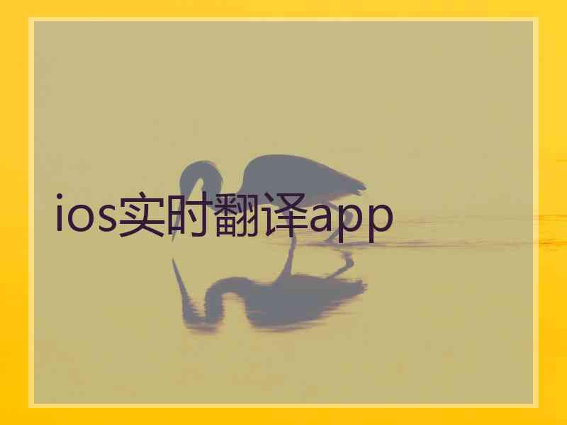 ios实时翻译app