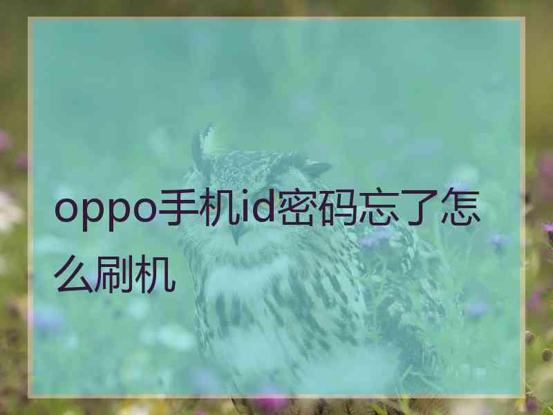 oppo手机id密码忘了怎么刷机