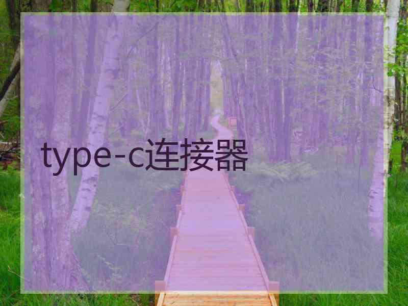 type-c连接器