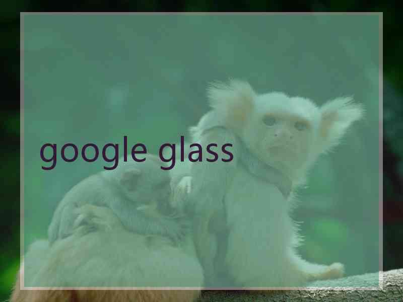 google glass