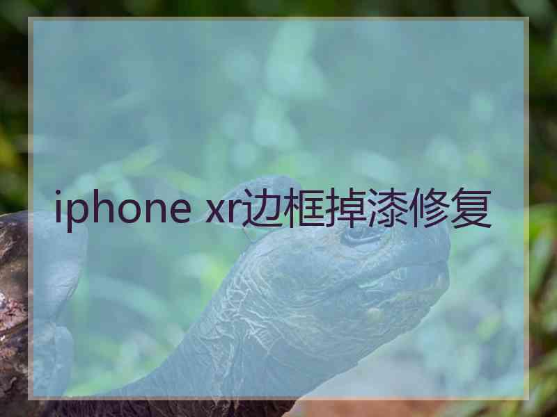 iphone xr边框掉漆修复