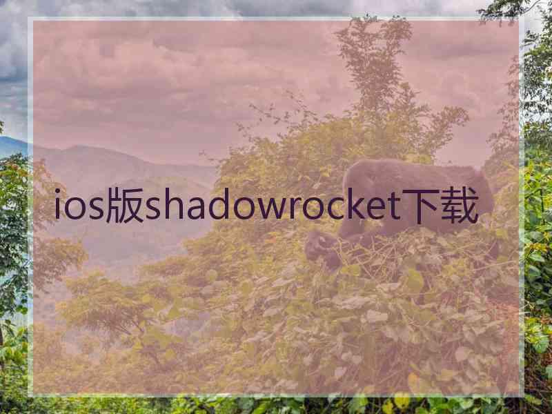 ios版shadowrocket下载