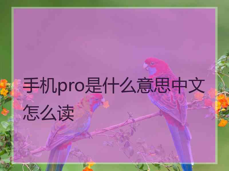 手机pro是什么意思中文怎么读