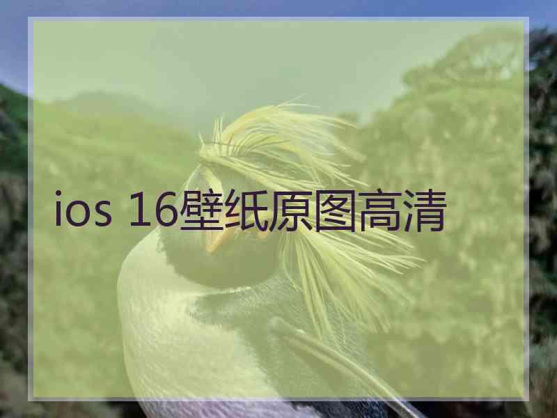 ios 16壁纸原图高清