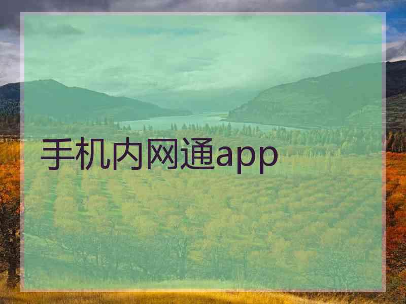 手机内网通app