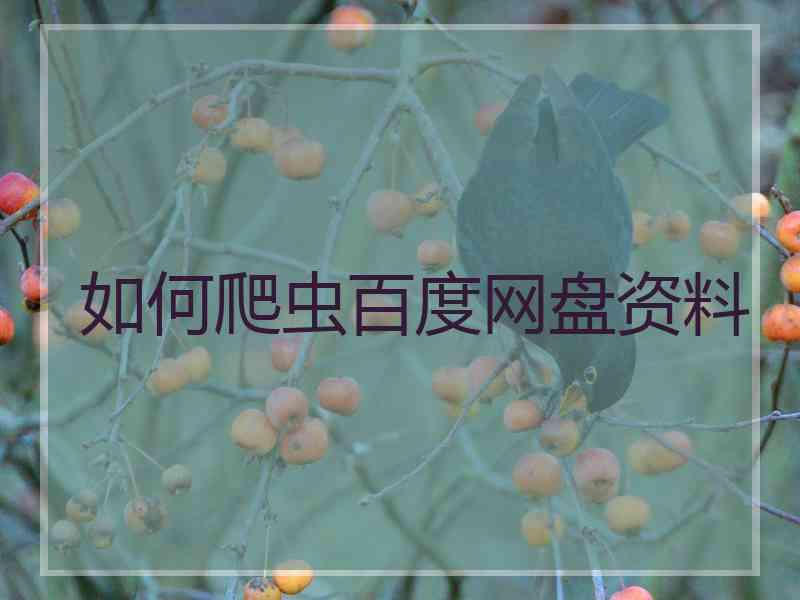 如何爬虫百度网盘资料