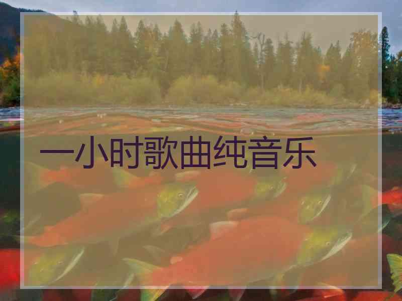 一小时歌曲纯音乐