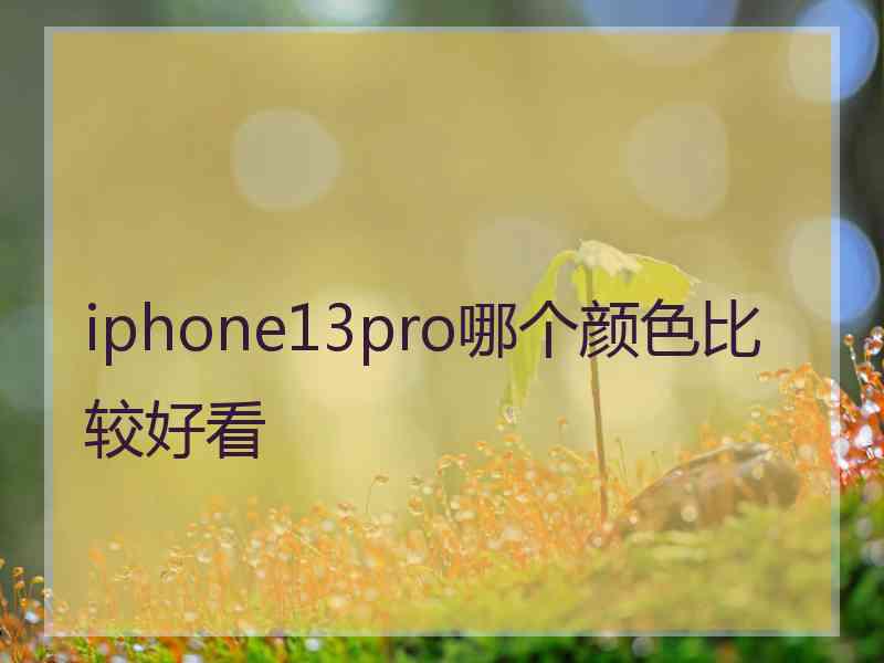 iphone13pro哪个颜色比较好看