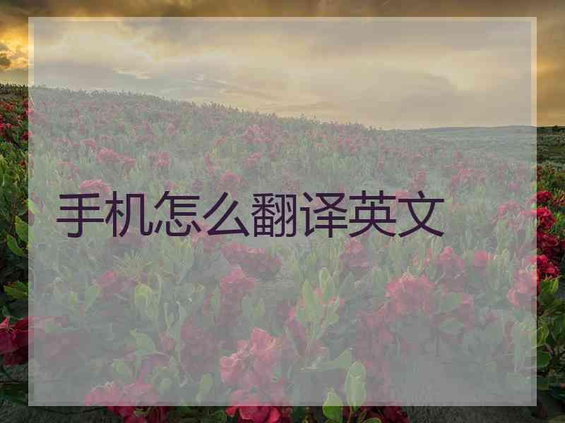 手机怎么翻译英文