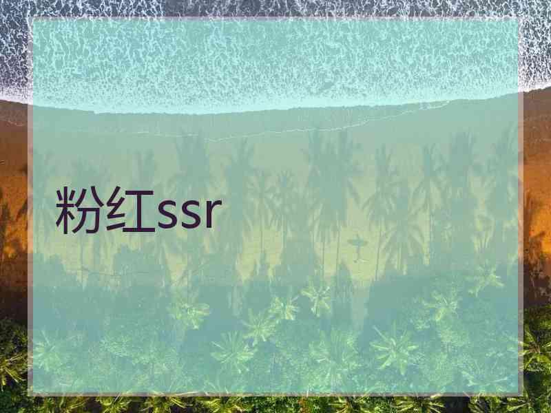 粉红ssr