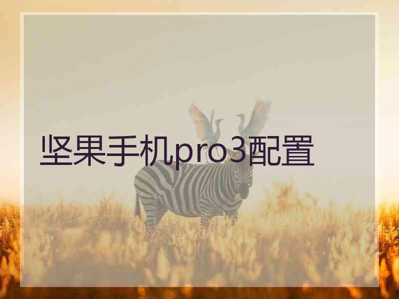 坚果手机pro3配置