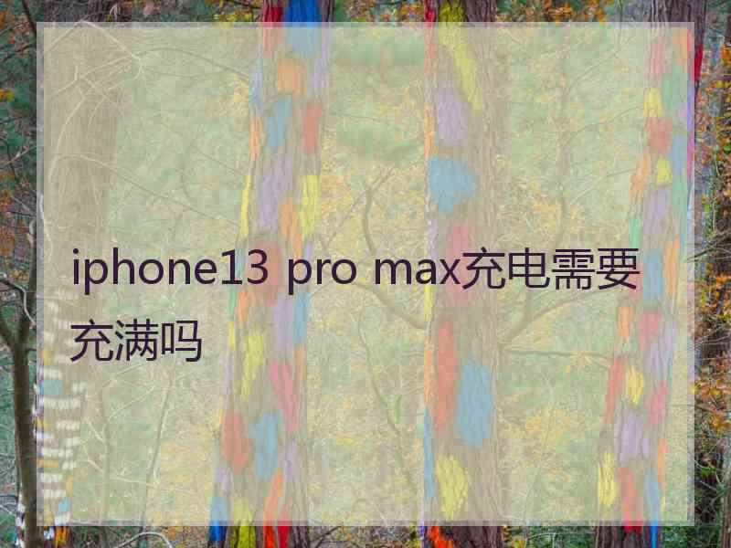 iphone13 pro max充电需要充满吗