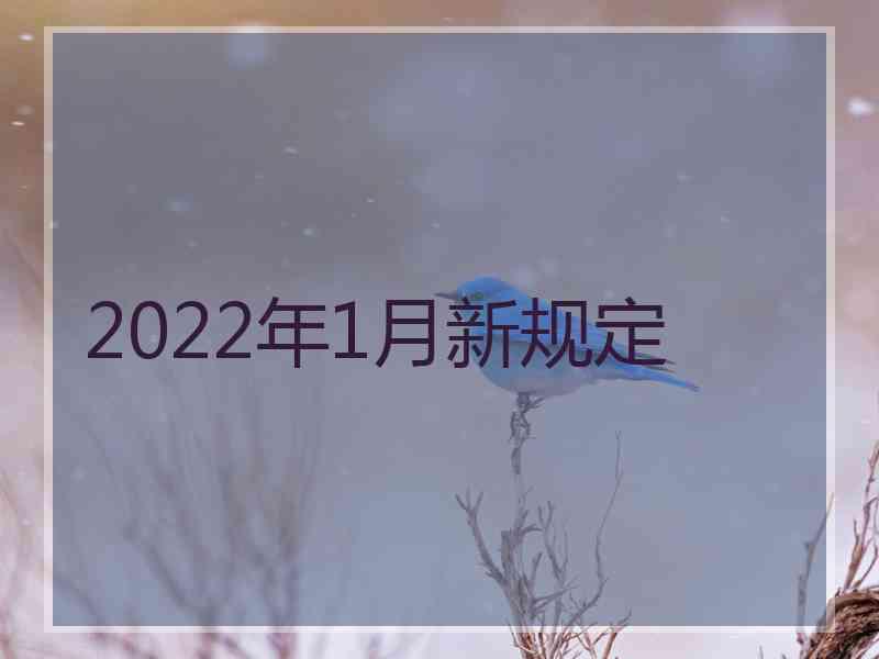 2022年1月新规定