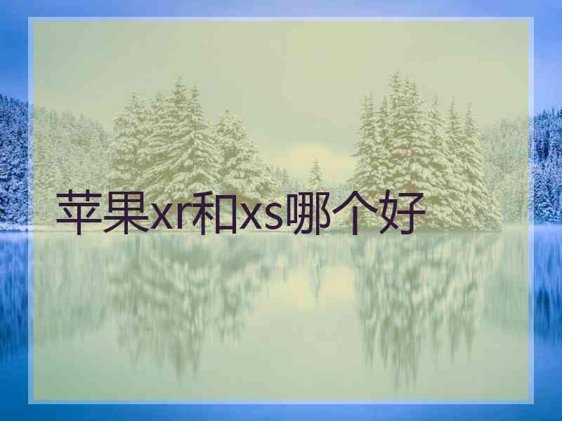 苹果xr和xs哪个好