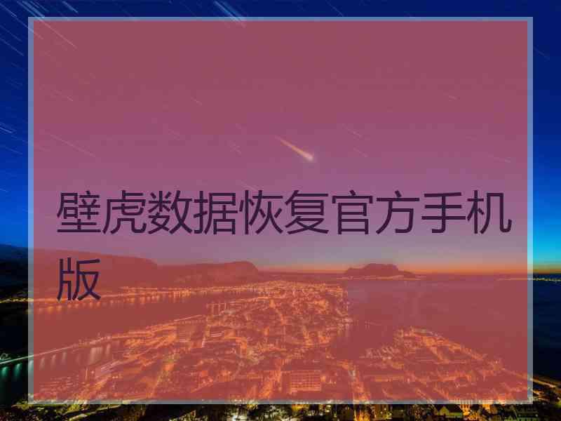 壁虎数据恢复官方手机版