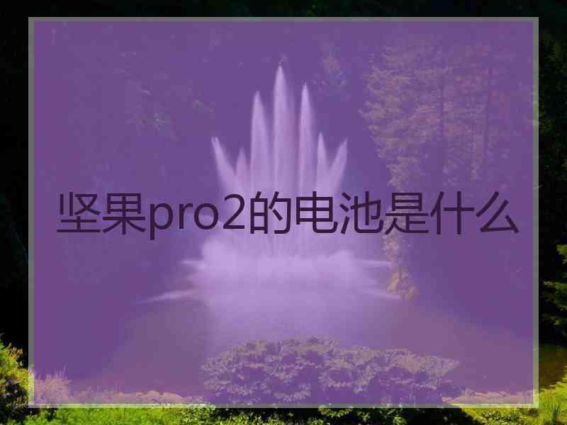 坚果pro2的电池是什么