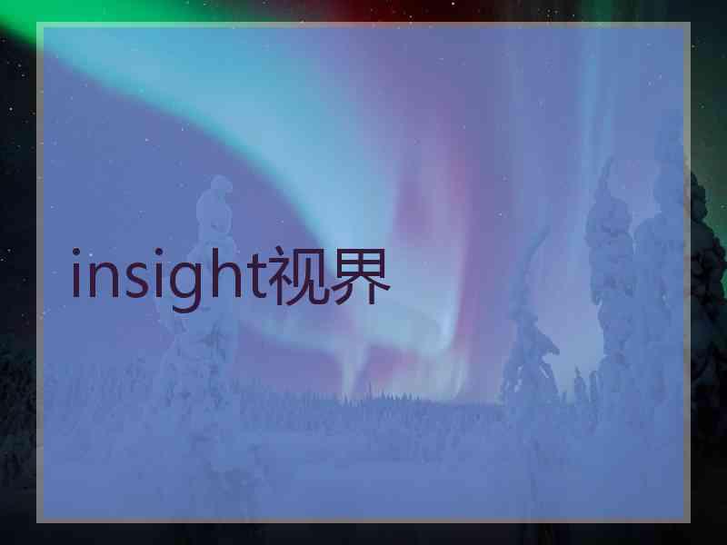 insight视界