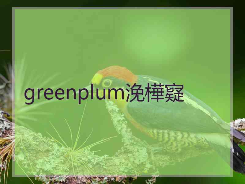 greenplum浼樺寲