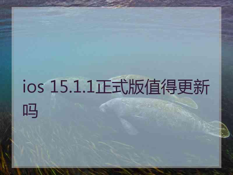 ios 15.1.1正式版值得更新吗