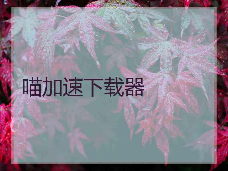 喵加速下载器