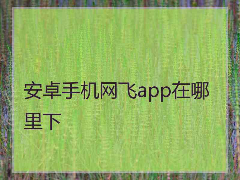 安卓手机网飞app在哪里下