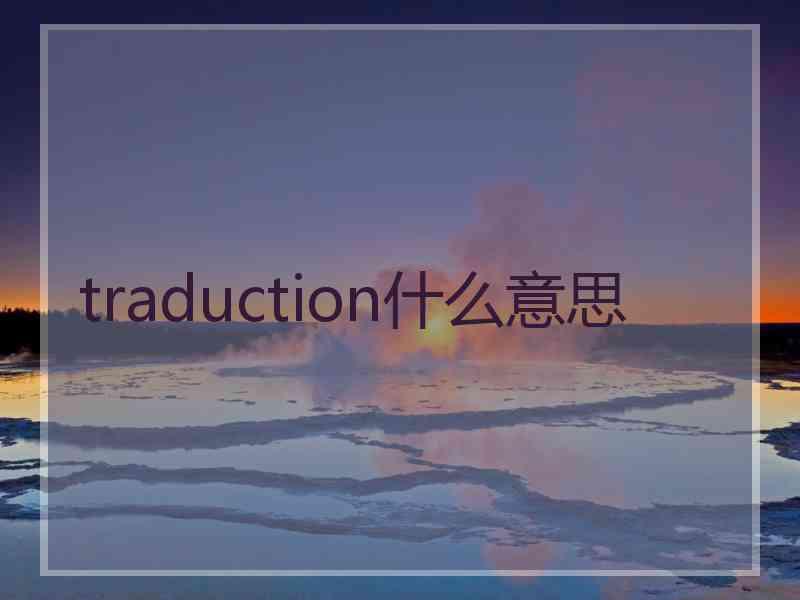 traduction什么意思