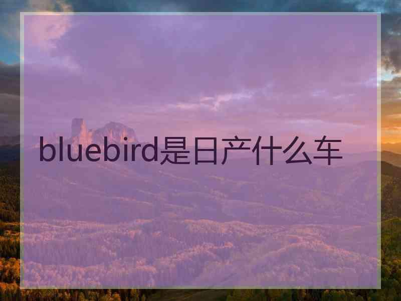 bluebird是日产什么车