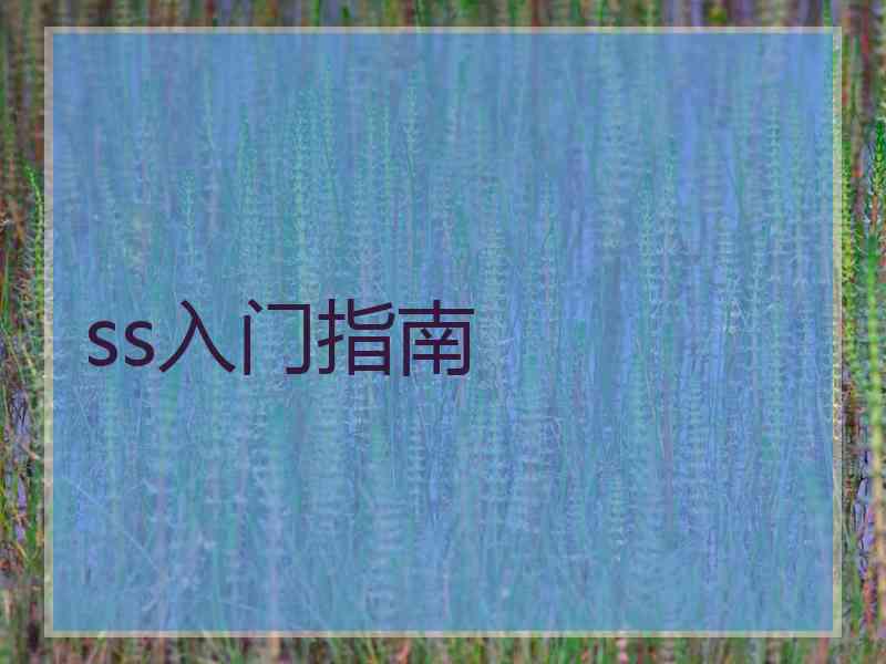 ss入门指南