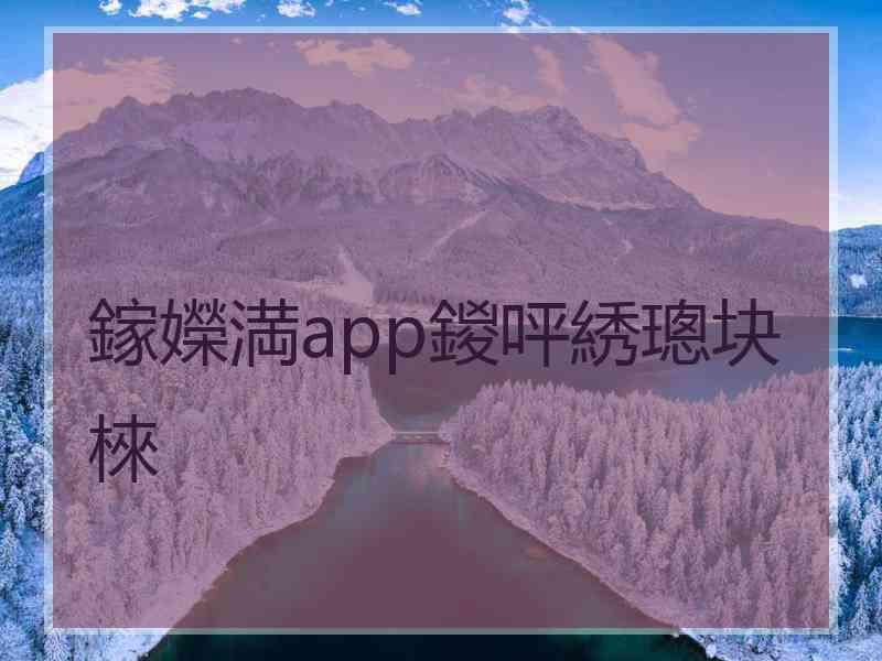 鎵嬫満app鍐呯綉璁块棶