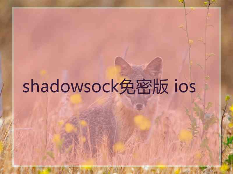 shadowsock免密版 ios