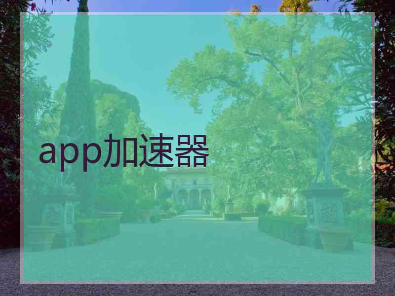 app加速器