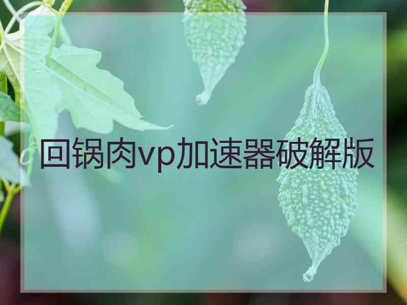 回锅肉vp加速器破解版