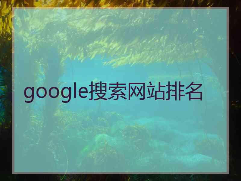 google搜索网站排名