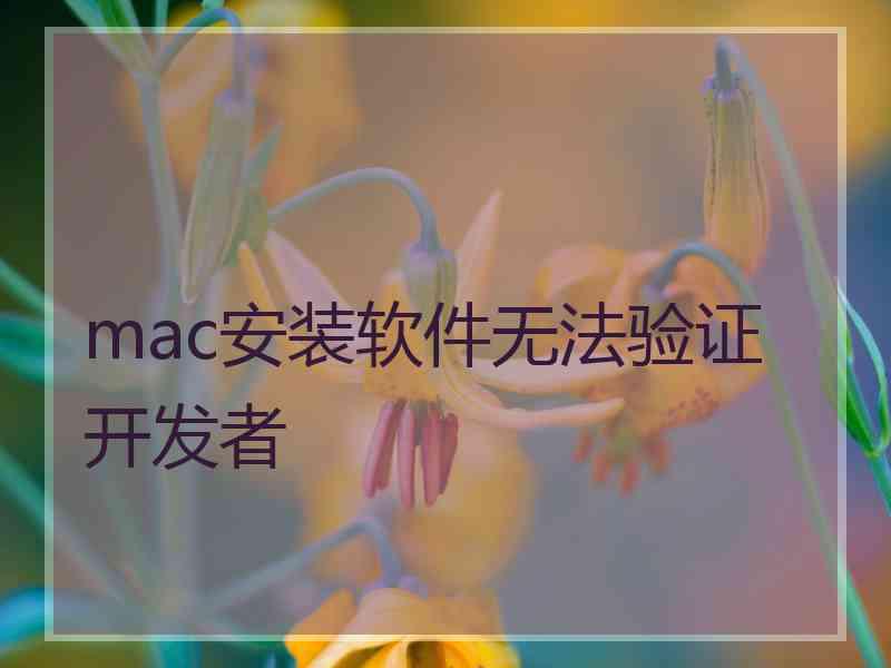 mac安装软件无法验证开发者