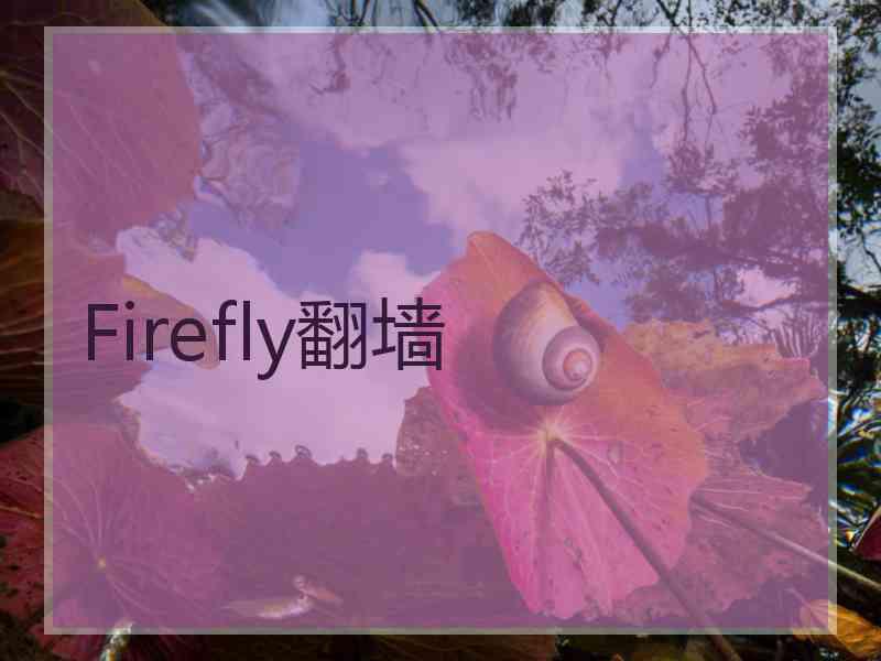 Firefly翻墙