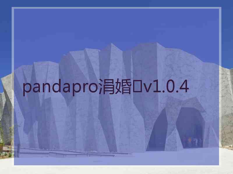 pandapro涓婚v1.0.4