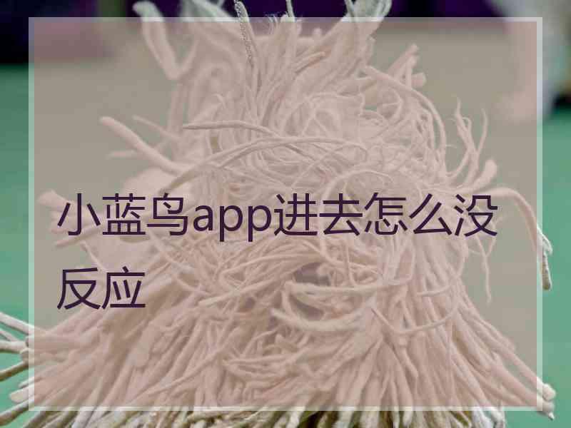 小蓝鸟app进去怎么没反应