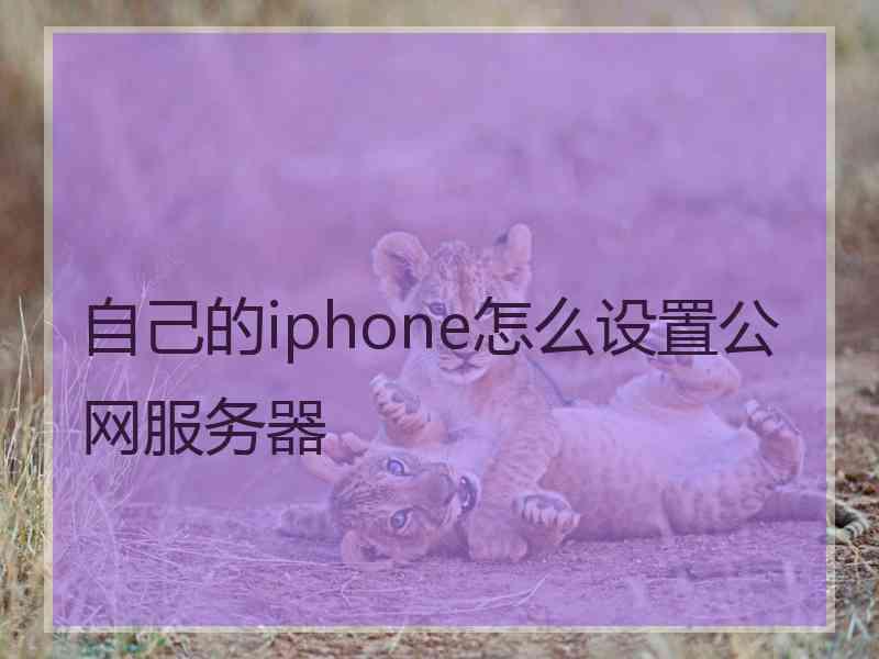 自己的iphone怎么设置公网服务器