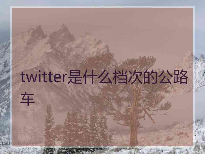 twitter是什么档次的公路车