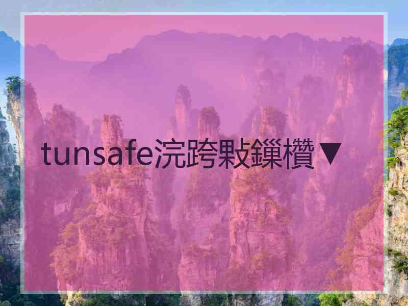 tunsafe浣跨敤鏁欑▼