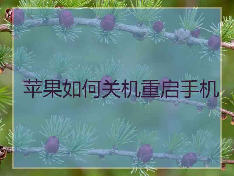 苹果如何关机重启手机